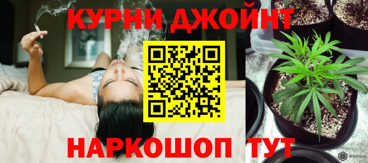 Бошки Шишки LSD WEED  Вход с VPN  Конопля THC 21%  Конопля Amnesia  Советский  Каннабис индика 